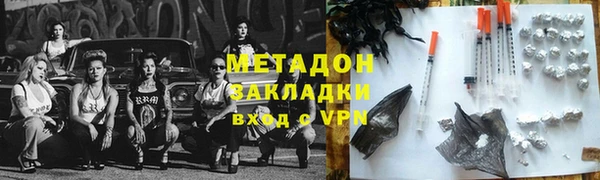 шишки Арсеньев