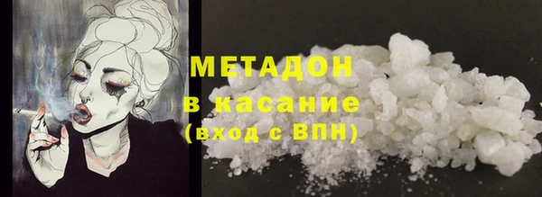 шишки Арсеньев