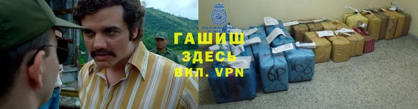 шишки Арсеньев