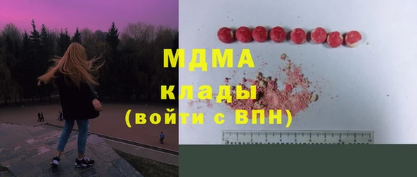 шишки Арсеньев