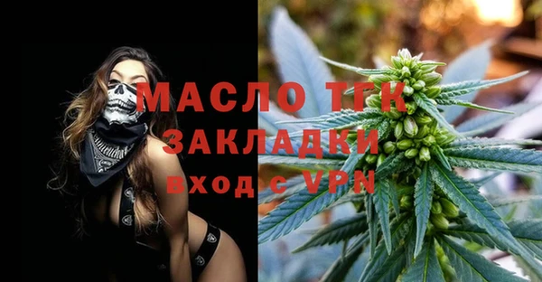 шишки Арсеньев