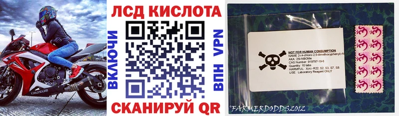 наркота  Курлово  Марки 25I-NBOMe 1500мкг 